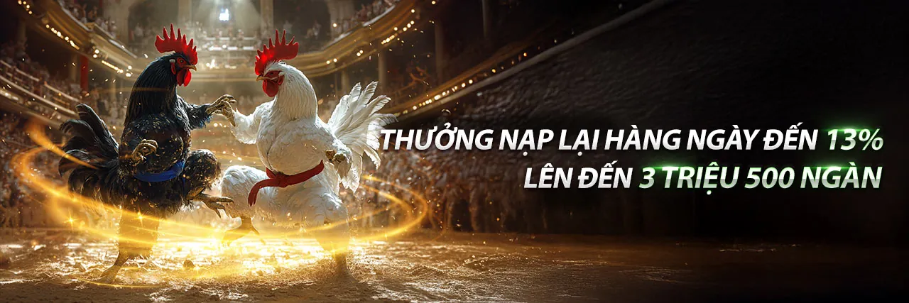 Đấu trường đá gà trực tuyến kịch tính tại ga65 cổng game